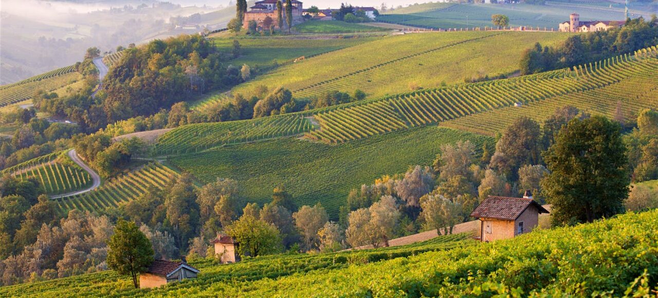 barolo wine tours from turin