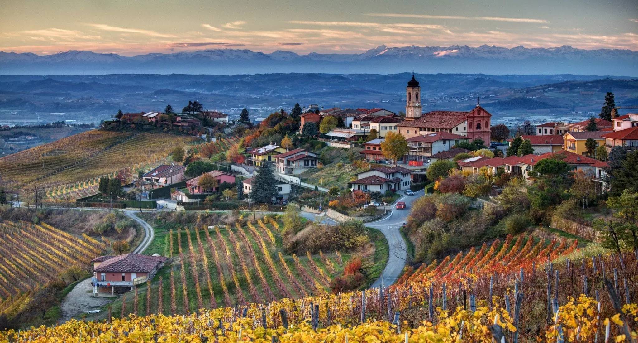 Piedmont wine tours