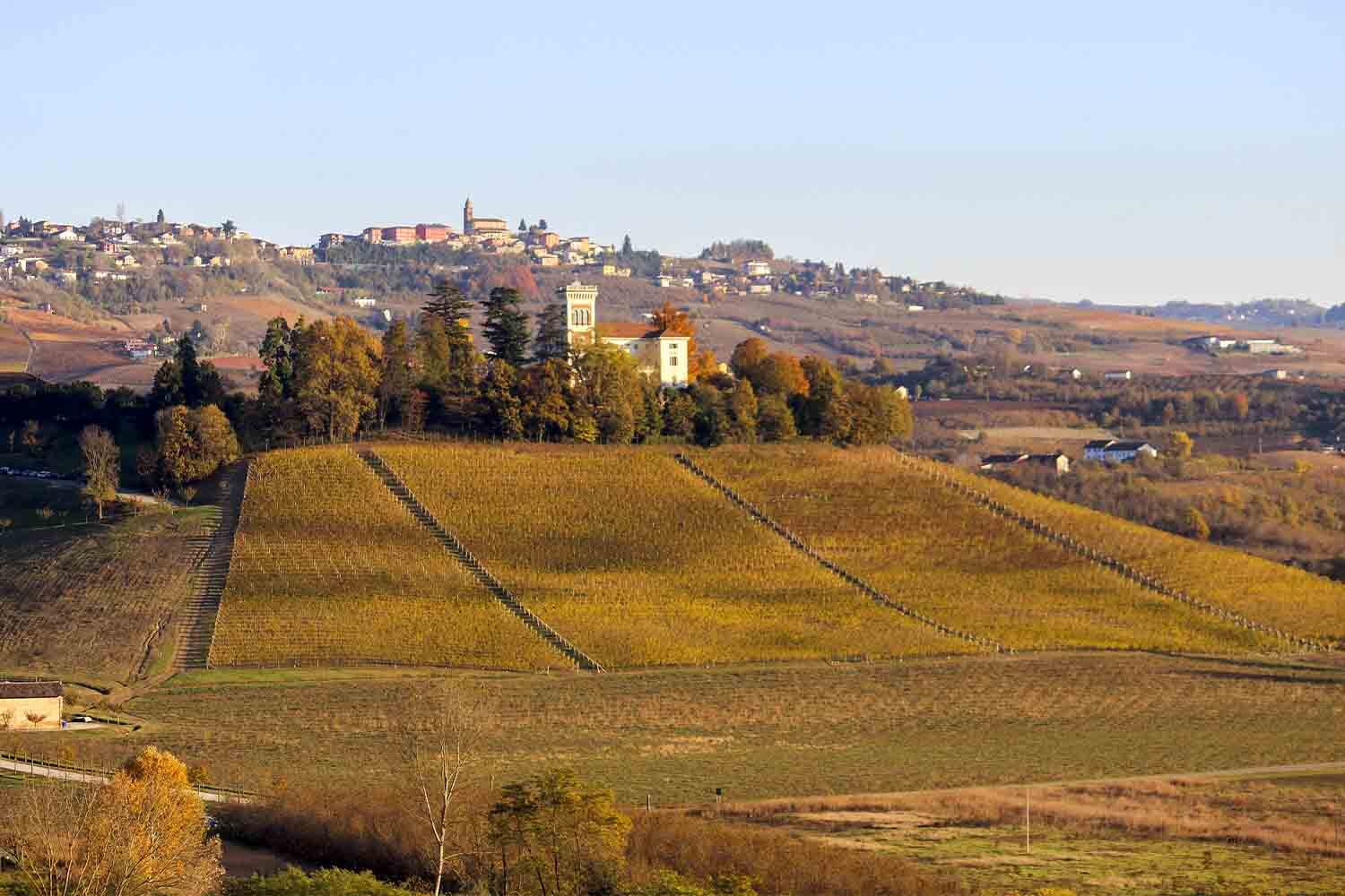 langhe view