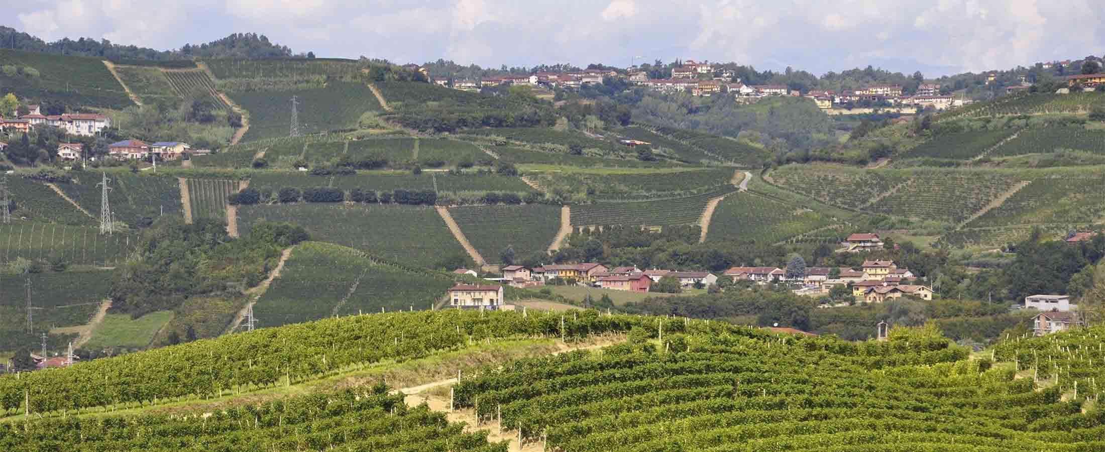 piedmont wine region